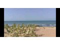 terrain-a-vendre-toubab-dialaw-small-0
