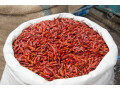 piment-small-0