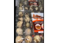 oeuf-de-caille-small-1