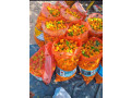 legumes-frais-small-0