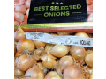 oignons-small-1