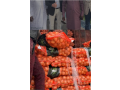 oignons-small-3