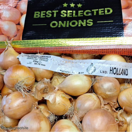 oignons-big-1
