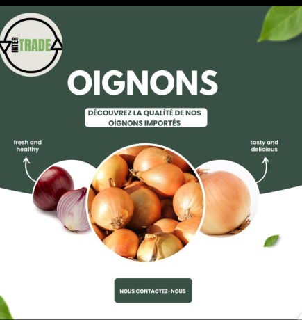oignons-big-2
