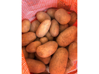 Pomme de terre