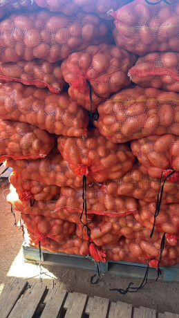 pomme-de-terre-big-4